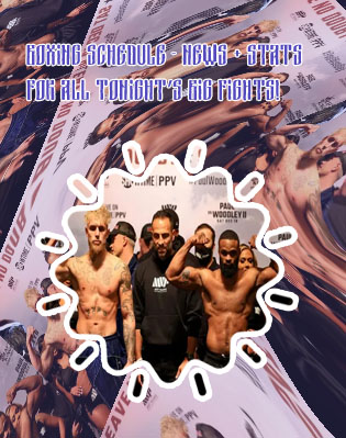 Boxing match tonight odds