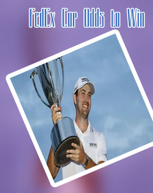 Odds to win the fedex cup